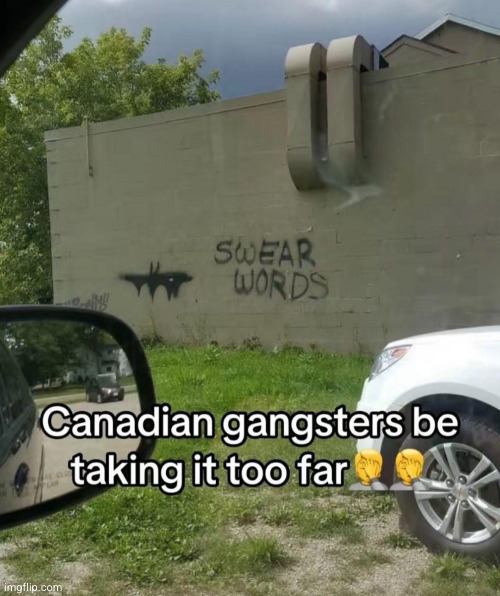 cmon bro kids live around here | image tagged in spray paint,paint,canada,funny,swear words,graffiti | made w/ Imgflip meme maker