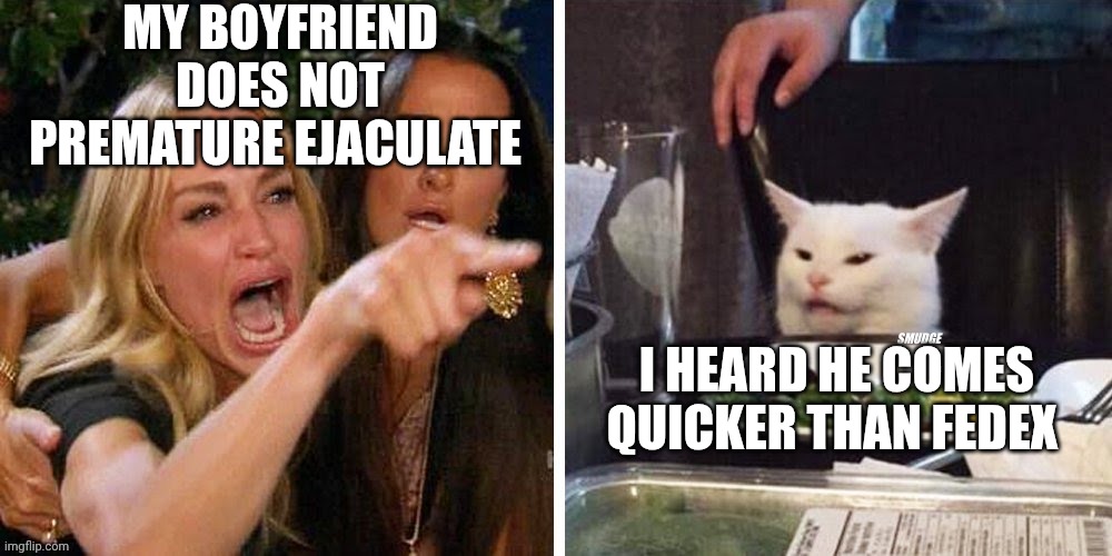 Smudge that darn cat with Karen | MY BOYFRIEND DOES NOT PREMATURE EJACULATE; I HEARD HE COMES QUICKER THAN FEDEX | image tagged in smudge that darn cat with karen | made w/ Imgflip meme maker