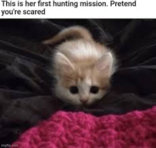 Here’s KITTY! | made w/ Imgflip meme maker