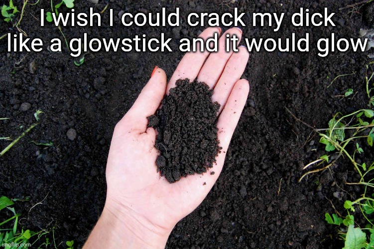 LOAM | I wish I could crack my dick like a glowstick and it would glow | image tagged in loam | made w/ Imgflip meme maker