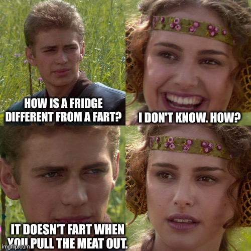How is it different? | HOW IS A FRIDGE DIFFERENT FROM A FART? I DON'T KNOW. HOW? IT DOESN'T FART WHEN YOU PULL THE MEAT OUT. | image tagged in anakin padme 4 panel | made w/ Imgflip meme maker