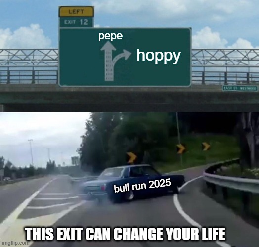 This exit can change your life | pepe; hoppy; bull run 2025; THIS EXIT CAN CHANGE YOUR LIFE | image tagged in memes,left exit 12 off ramp,crypto,funny signs,funny memes | made w/ Imgflip meme maker