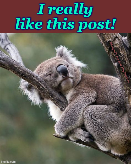 I like this post! | I really like this post! @SongofGrace @OneJoyfulNoise | image tagged in i like this post | made w/ Imgflip meme maker