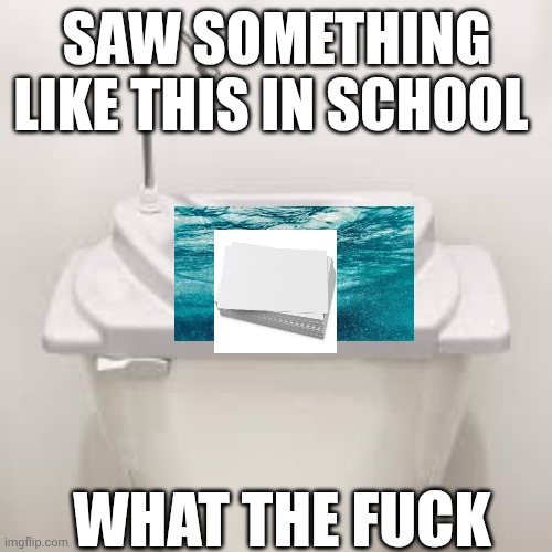 SAW SOMETHING LIKE THIS IN SCHOOL; WHAT THE FUCK | image tagged in fuck,school,toilet,sink | made w/ Imgflip meme maker