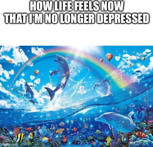 Thought I’d post some happy news about my life | HOW LIFE FEELS NOW THAT I’M NO LONGER DEPRESSED | image tagged in blank white template,happy dolphin rainbow,life is good,happy,wholesome | made w/ Imgflip meme maker