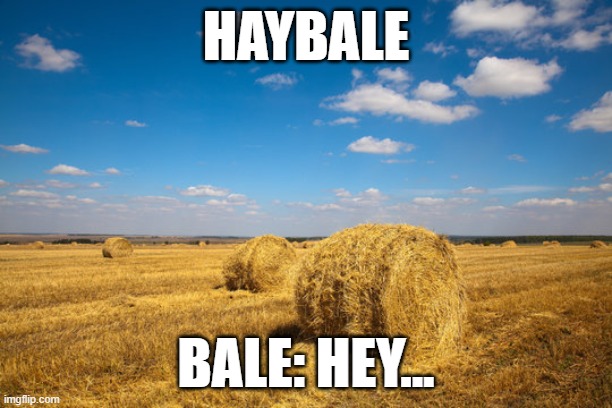 haybale | HAYBALE; BALE: HEY... | image tagged in funny | made w/ Imgflip meme maker