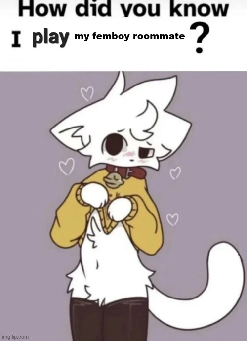 How did you know I play X? | my femboy roommate | image tagged in how did you know i play x | made w/ Imgflip meme maker