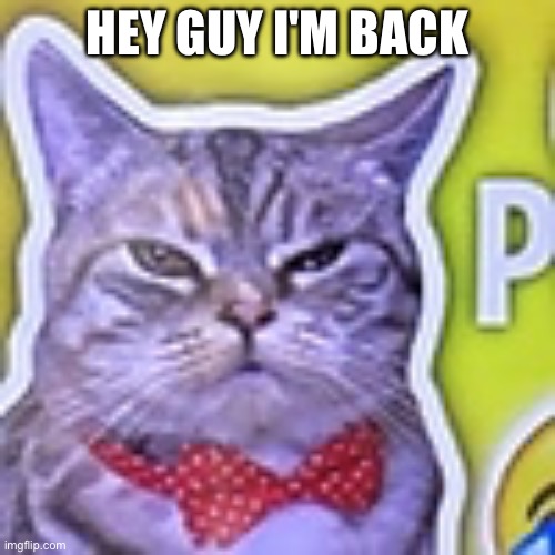 lol | HEY GUY I'M BACK | image tagged in me | made w/ Imgflip meme maker