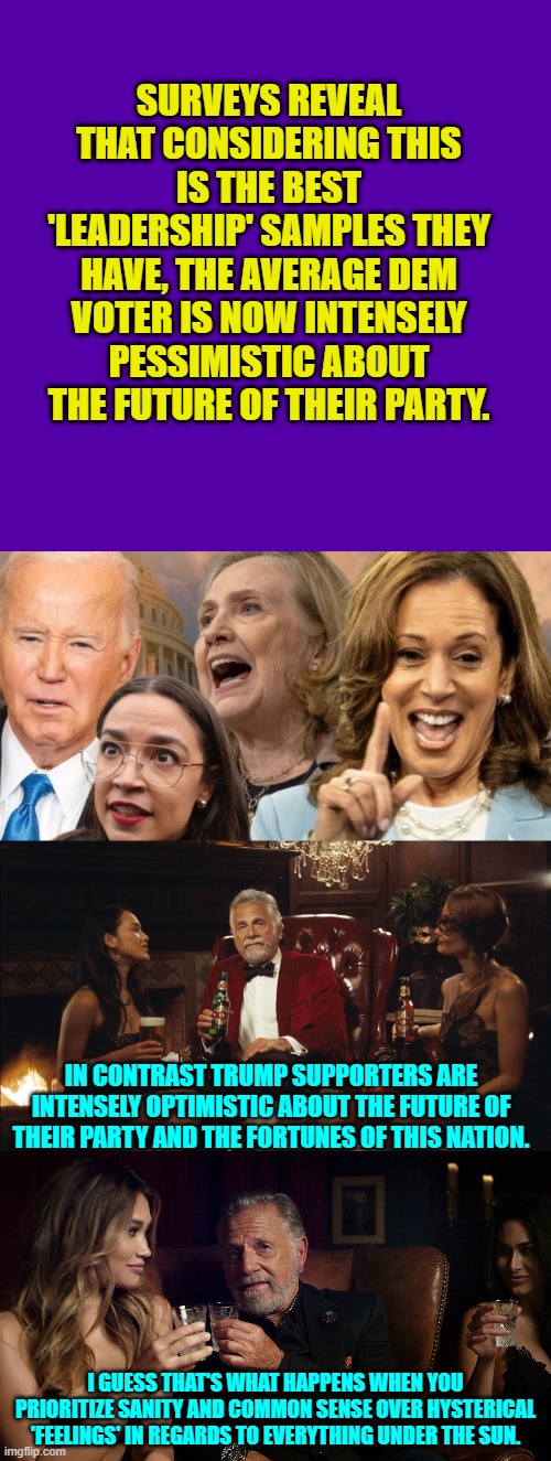 Substitute sanity and common sense for feeeeeeeeeeeeeeeelings.  Who'd ah thunk it? | SURVEYS REVEAL THAT CONSIDERING THIS IS THE BEST 'LEADERSHIP' SAMPLES THEY HAVE, THE AVERAGE DEM VOTER IS NOW INTENSELY PESSIMISTIC ABOUT THE FUTURE OF THEIR PARTY. IN CONTRAST TRUMP SUPPORTERS ARE INTENSELY OPTIMISTIC ABOUT THE FUTURE OF THEIR PARTY AND THE FORTUNES OF THIS NATION. I GUESS THAT'S WHAT HAPPENS WHEN YOU PRIORITIZE SANITY AND COMMON SENSE OVER HYSTERICAL 'FEELINGS' IN REGARDS TO EVERYTHING UNDER THE SUN. | image tagged in yep | made w/ Imgflip meme maker