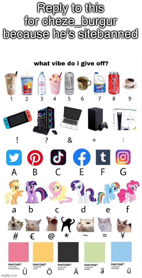 What vibe do I give of | Reply to this for cheze_burgur because he's sitebanned | image tagged in what vibe do i give of | made w/ Imgflip meme maker