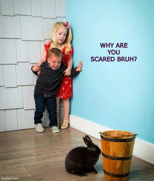 You scared of him?! | WHY ARE YOU SCARED BRUH? | image tagged in children scared of rabbit,bruh moment | made w/ Imgflip meme maker