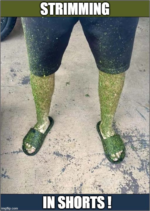 It's That Time Of Year | STRIMMING; IN SHORTS ! | image tagged in strimming,shorts | made w/ Imgflip meme maker