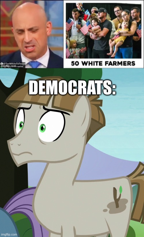 Democrat losers think white people are scary | DEMOCRATS: | image tagged in shocked mudbriar mlp | made w/ Imgflip meme maker