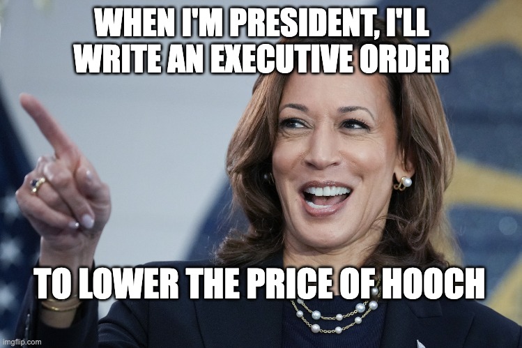 Trump Lowered The Price of Prescription Drugs... Big Deal... | WHEN I'M PRESIDENT, I'LL
WRITE AN EXECUTIVE ORDER; TO LOWER THE PRICE OF HOOCH | image tagged in kamala drunk,kamala | made w/ Imgflip meme maker
