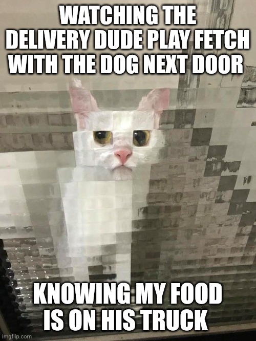 Where's my dinner? | WATCHING THE DELIVERY DUDE PLAY FETCH WITH THE DOG NEXT DOOR; KNOWING MY FOOD IS ON HIS TRUCK | image tagged in sad cat,white cat,delivery | made w/ Imgflip meme maker