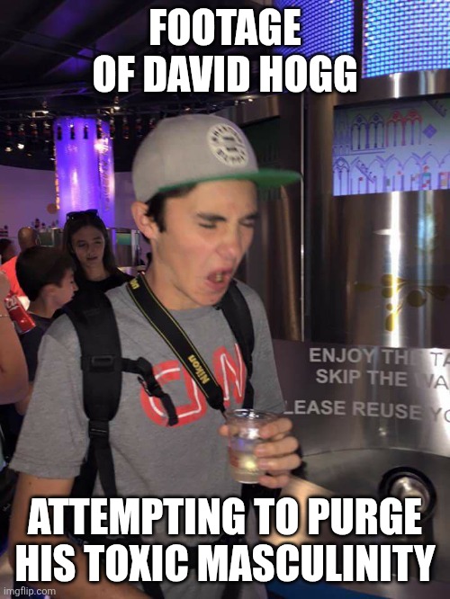 David Hogg | FOOTAGE OF DAVID HOGG ATTEMPTING TO PURGE HIS TOXIC MASCULINITY | image tagged in david hogg | made w/ Imgflip meme maker
