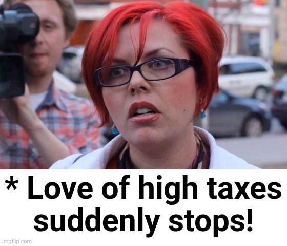 Angry Feminist | * Love of high taxes
suddenly stops! | image tagged in angry feminist | made w/ Imgflip meme maker