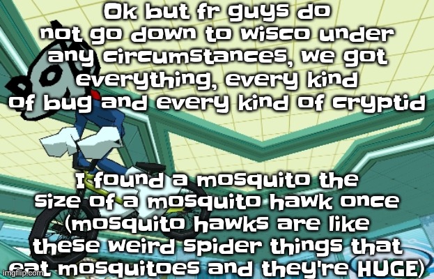 Cyberfunk | Ok but fr guys do not go down to wisco under any circumstances, we got everything, every kind of bug and every kind of cryptid; I found a mosquito the size of a mosquito hawk once (mosquito hawks are like these weird spider things that eat mosquitoes and they're HUGE) | image tagged in cyberfunk | made w/ Imgflip meme maker