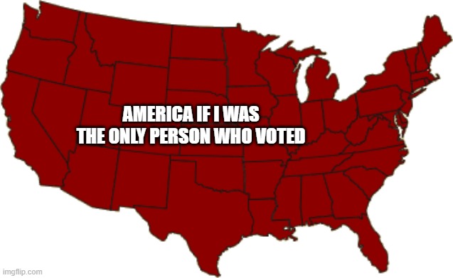 electoral map but only me | AMERICA IF I WAS THE ONLY PERSON WHO VOTED | image tagged in owned,haha,maps | made w/ Imgflip meme maker
