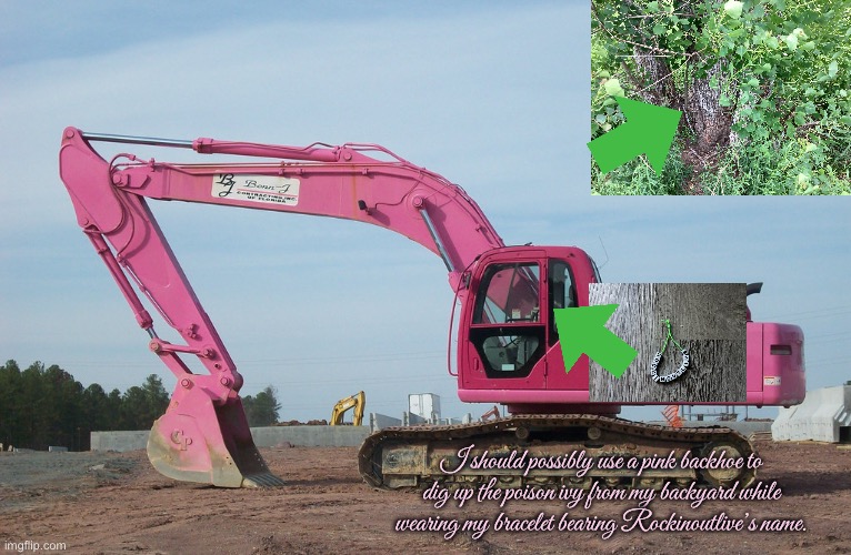 My Pink Backhoe | I should possibly use a pink backhoe to dig up the poison ivy from my backyard while wearing my bracelet bearing Rockinoutlive’s name. | image tagged in backyard,girlfriend,girl,beautiful girl,pretty girl,revenge | made w/ Imgflip meme maker