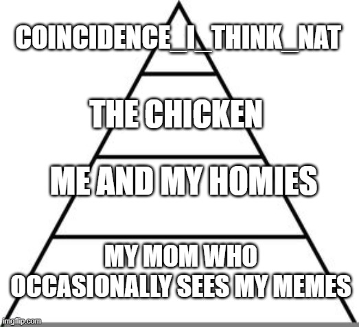 meme pyramid | COINCIDENCE_I_THINK_NAT; THE CHICKEN; ME AND MY HOMIES; MY MOM WHO OCCASIONALLY SEES MY MEMES | image tagged in food pyramid,lol | made w/ Imgflip meme maker
