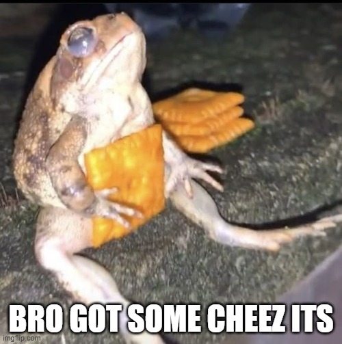 Cracker Frog | BRO GOT SOME CHEEZ ITS | image tagged in cursed image | made w/ Imgflip meme maker