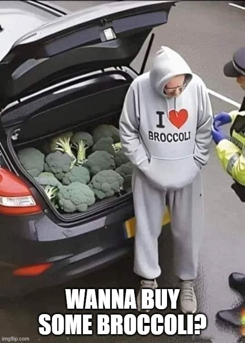 Broccoli | WANNA BUY SOME BROCCOLI? | image tagged in funny,memes | made w/ Imgflip meme maker