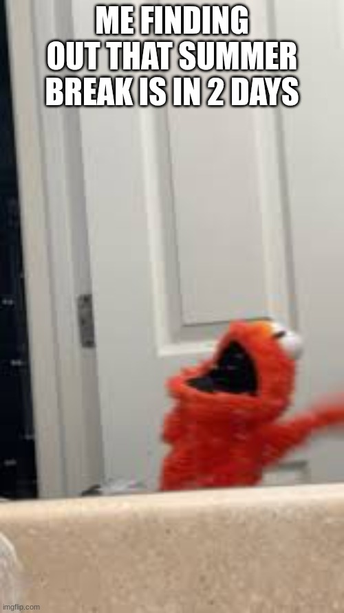 Elmo | ME FINDING OUT THAT SUMMER BREAK IS IN 2 DAYS | image tagged in elmo on drugs | made w/ Imgflip meme maker