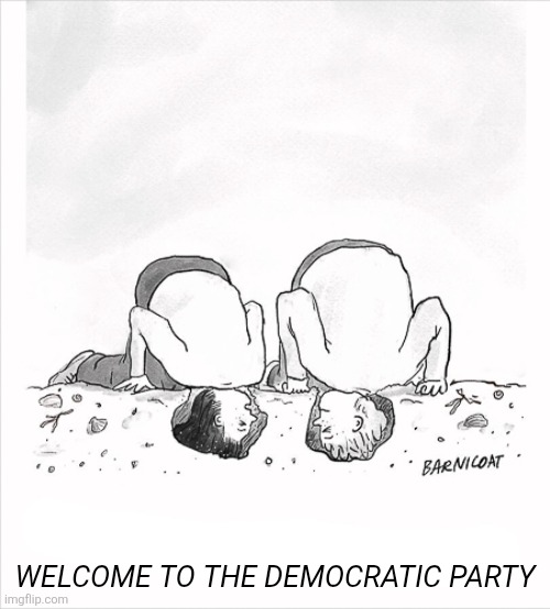 life's a beach | WELCOME TO THE DEMOCRATIC PARTY | image tagged in political meme | made w/ Imgflip meme maker