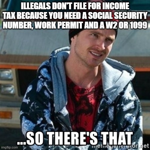 So there's that | ILLEGALS DON'T FILE FOR INCOME TAX BECAUSE YOU NEED A SOCIAL SECURITY NUMBER, WORK PERMIT AND A W2 OR 1099 | image tagged in so there's that | made w/ Imgflip meme maker