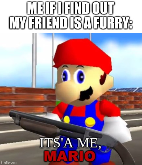Mario Shotgun | ME IF I FIND OUT MY FRIEND IS A FURRY: | image tagged in mario shotgun | made w/ Imgflip meme maker