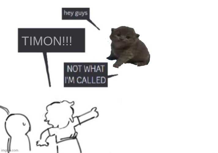 Hey Guys - NOT WHAT I'M CALLED | TIMON!!! | image tagged in hey guys - not what i'm called | made w/ Imgflip meme maker