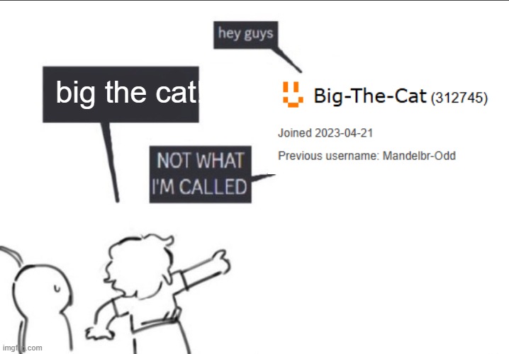im called odd | big the cat! | image tagged in not what im called | made w/ Imgflip meme maker