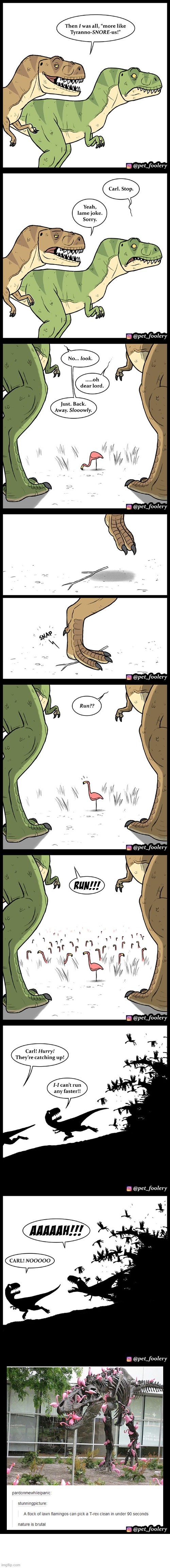 image tagged in dinosaurs,t rex,flamingos,stick,run,noooooooooooooooooooooooo | made w/ Imgflip meme maker