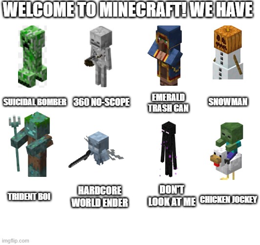 Minecraft be like: | WELCOME TO MINECRAFT! WE HAVE; EMERALD TRASH CAN; SUICIDAL BOMBER; SNOWMAN; 360 NO-SCOPE; DON'T LOOK AT ME; TRIDENT BOI; HARDCORE WORLD ENDER; CHICKEN JOCKEY | image tagged in minecraft,minecraft memes | made w/ Imgflip meme maker