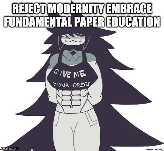 Reject modernity embrace fundamental paper education | REJECT MODERNITY EMBRACE FUNDAMENTAL PAPER EDUCATION | image tagged in fpe,fundamental paper education,miss circle,reject modernity embrace tradition | made w/ Imgflip meme maker
