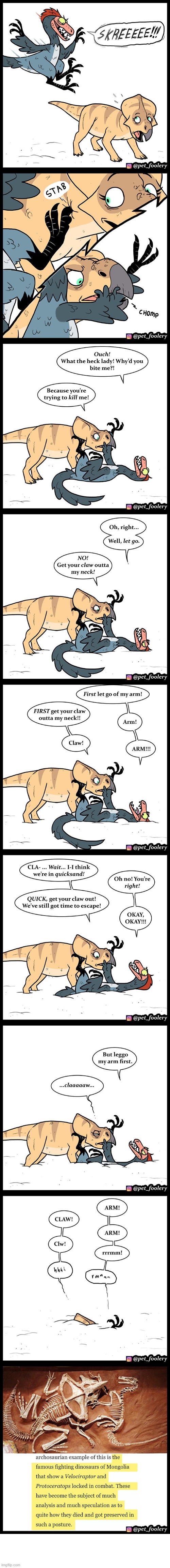 image tagged in dinosaurs,velociraptor,triceratops,stab,bite,quicksand | made w/ Imgflip meme maker