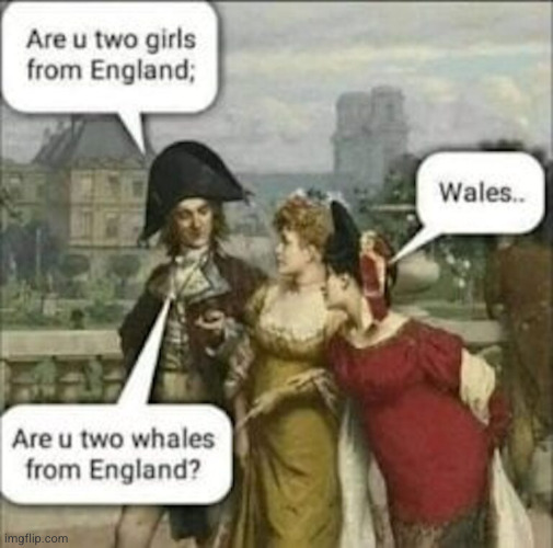 is he wrong ? | image tagged in seduction,whales,wales,funny,history,rizz | made w/ Imgflip meme maker