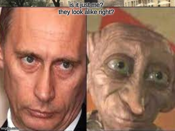 Putin and Dobby | is it just me? they look alike right? | image tagged in memes | made w/ Imgflip meme maker