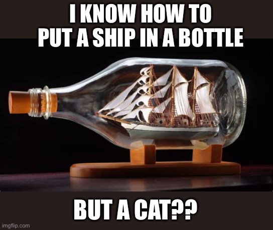 I KNOW HOW TO PUT A SHIP IN A BOTTLE BUT A CAT?? | made w/ Imgflip meme maker