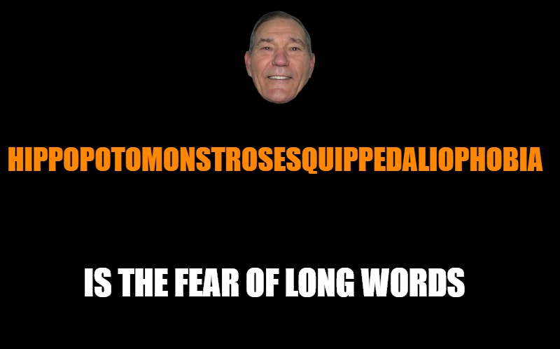black screen | HIPPOPOTOMONSTROSESQUIPPEDALIOPHOBIA; IS THE FEAR OF LONG WORDS | image tagged in black screen | made w/ Imgflip meme maker