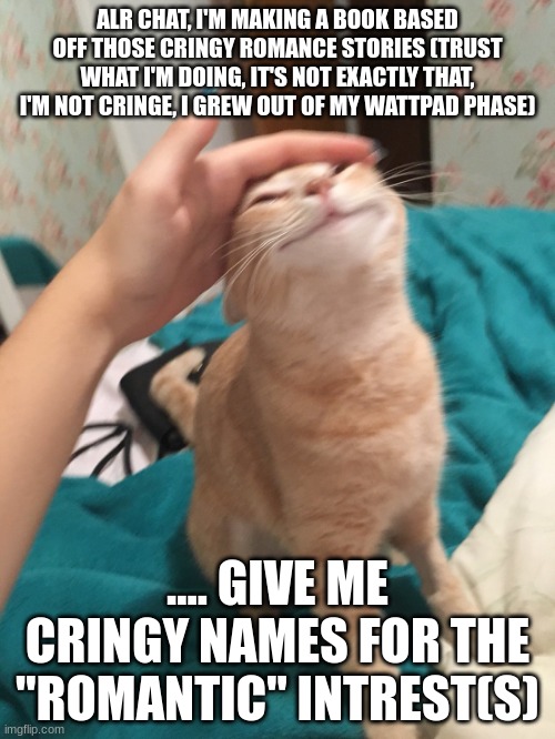 CHAT TRUST ME, THIS IS GONNA BE FUNNY | ALR CHAT, I'M MAKING A BOOK BASED OFF THOSE CRINGY ROMANCE STORIES (TRUST WHAT I'M DOING, IT'S NOT EXACTLY THAT, I'M NOT CRINGE, I GREW OUT OF MY WATTPAD PHASE); .... GIVE ME CRINGY NAMES FOR THE "ROMANTIC" INTREST(S) | image tagged in cat pat | made w/ Imgflip meme maker