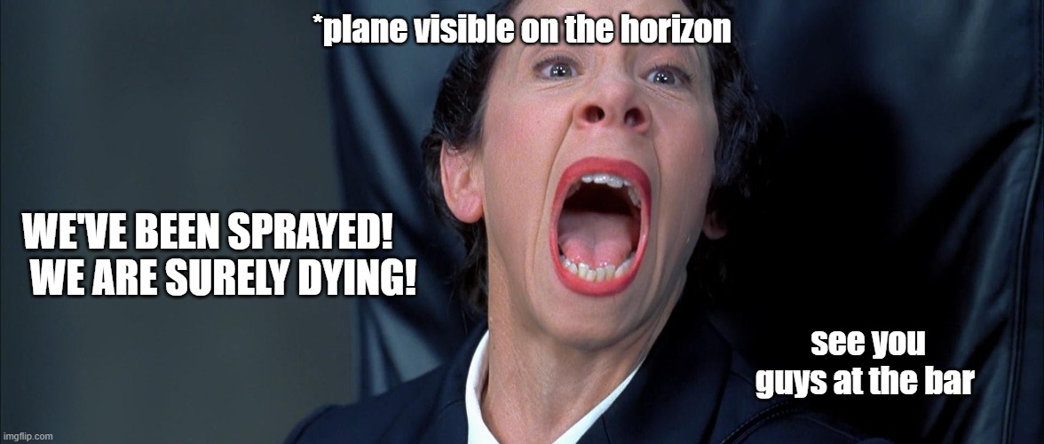 crop dusting | *plane visible on the horizon; WE'VE BEEN SPRAYED!  WE ARE SURELY DYING! see you guys at the bar | image tagged in austin powers - frau yelling | made w/ Imgflip meme maker