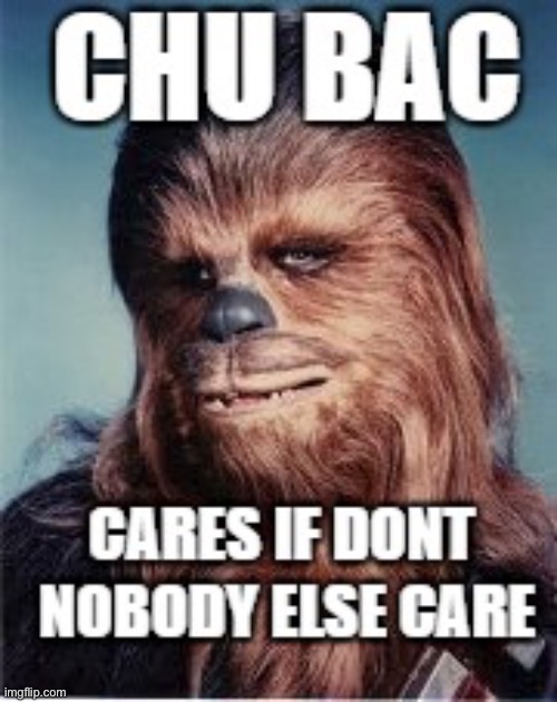image tagged in chu bac | made w/ Imgflip meme maker