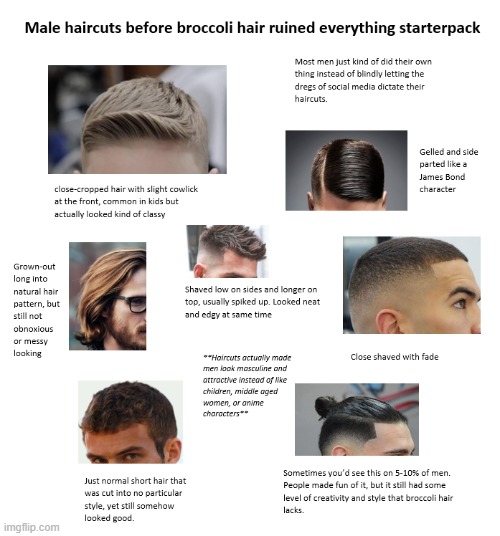 I hate broccoli hair with a burning passion and believe everyone with that haircut shouldn't be allowed to reproduce. | image tagged in broccoli hair,funny,haircut,tiktok sucks,zoomer hair,memes | made w/ Imgflip meme maker