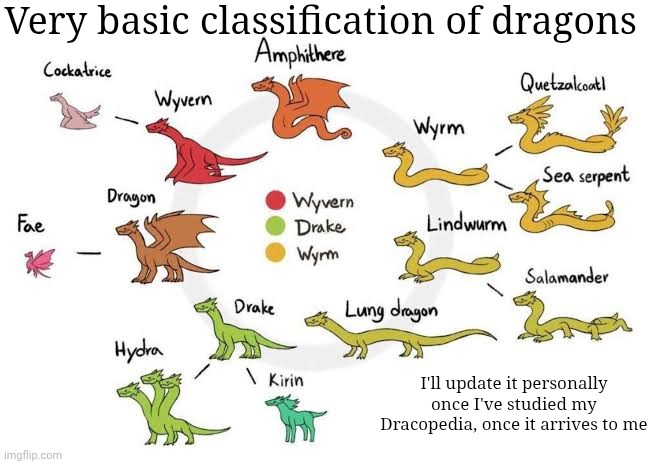 Asian dragons and lung dragons are pretty much the same | Very basic classification of dragons; I'll update it personally once I've studied my Dracopedia, once it arrives to me | made w/ Imgflip meme maker