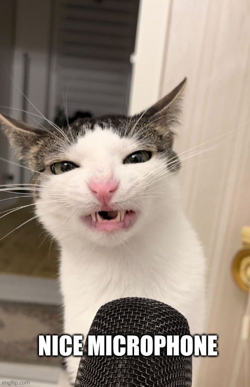 NICE MICROPHONE | made w/ Imgflip meme maker