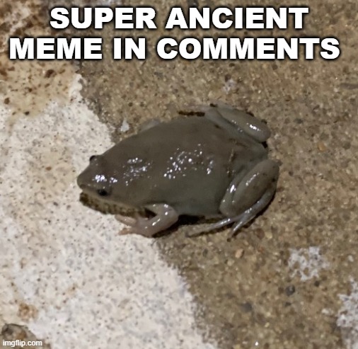 fog | SUPER ANCIENT MEME IN COMMENTS | image tagged in fog | made w/ Imgflip meme maker