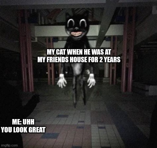 my cat meme | MY CAT WHEN HE WAS AT MY FRIENDS HOUSE FOR 2 YEARS; ME: UHH YOU LOOK GREAT | image tagged in cartoon cat | made w/ Imgflip meme maker