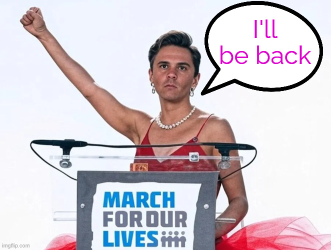 David Hogg changes identity to run for DNC office again | I'll be back | image tagged in political,reposts,david hogg,changes identity | made w/ Imgflip meme maker